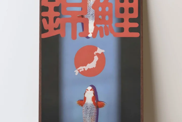 Nishikigoi