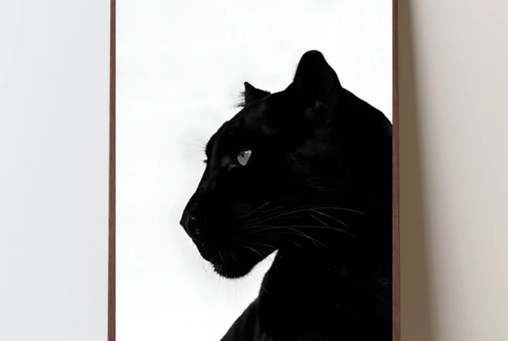 Shadow canvas art
