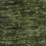 Image Attribute