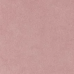 Image Attribute